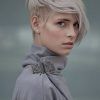 Gray Pixie Haircuts With Messy Crown (Photo 10 of 25)