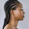 Trendy Two-Tone Braided Ponytails (Photo 21 of 25)