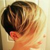 Disconnected Blonde Balayage Pixie Hairstyles (Photo 6 of 25)