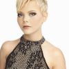 Feathered Pixie Hairstyles For Thin Hair (Photo 22 of 25)