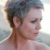 Tapered Pixie Hairstyles With Maximum Volume (Photo 17 of 25)
