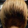 Short Bob Hairstyles With Tapered Back (Photo 14 of 25)