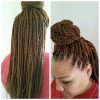 Cornrows And Senegalese Twists Ponytail Hairstyles (Photo 9 of 25)