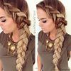 Dramatic Side Part Braided Hairstyles (Photo 16 of 25)