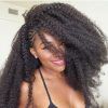 Cornrows And Crochet Hairstyles (Photo 9 of 15)