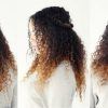 Ombre Curly Ponytail Hairstyles (Photo 10 of 25)