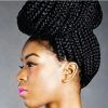 Ebony Braided Hairstyles (Photo 12 of 15)