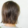 Rounded Sleek Bob Hairstyles With Minimal Layers (Photo 20 of 25)
