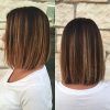 Blunt Bob Haircuts With Layers (Photo 24 of 25)