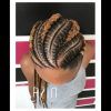 Cornrows Braided Hairstyles (Photo 14 of 15)