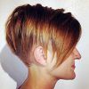 Short Bob Hairstyles With Tapered Back (Photo 12 of 25)