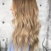 Subtle Brown Blonde Ombre Hairstyles (Photo 3 of 25)