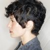 Pixie Mohawk Haircuts For Curly Hair (Photo 21 of 25)