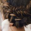 Chunky French Braid Chignon Hairstyles (Photo 22 of 25)