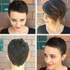 Cute Shaped Crop Hairstyles (Photo 22 of 25)
