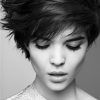Gray Pixie Hairstyles For Thick Hair (Photo 23 of 25)