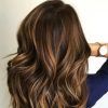 Warm-Toned Brown Hairstyles With Caramel Balayage (Photo 21 of 25)