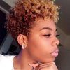 Short Haircuts For Black Women With Natural Hair (Photo 20 of 25)