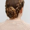 Chunky French Braid Chignon Hairstyles (Photo 9 of 25)