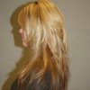 Long Hair Shaggy Layers Hairstyles (Photo 18 of 25)