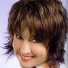 Shaggy Hairstyles For Fine Hair Over 50 (Photo 15 of 15)