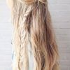 Long Hairstyles Plaits (Photo 13 of 25)
