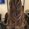 Choppy Dimensional Layers For Balayage Long Hairstyles (Photo 20 of 25)