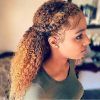 Naturally Curly Braided Hairstyles (Photo 7 of 25)