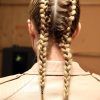 Twin Braid Updo Hairstyles (Photo 15 of 15)
