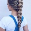 Softly Pulled Back Braid Hairstyles (Photo 15 of 25)