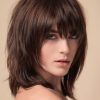Long Brown Shag Hairstyles With Blonde Highlights (Photo 18 of 25)