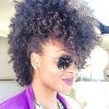 Natural Curls Mohawk Hairstyles (Photo 12 of 25)