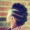 Mohawk Hairstyles With Braided Bantu Knots (Photo 1 of 25)