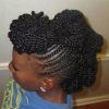 Fully Braided Mohawk Hairstyles (Photo 9 of 25)