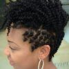 Curly Mohawk With Flat Twisted Sides (Photo 8 of 15)