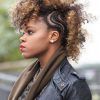 Curly Highlighted Mohawk Hairstyles (Photo 9 of 25)