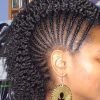 Mohawk Hairstyles With Multiple Braids (Photo 4 of 25)