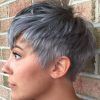 Tapered Gray Pixie Hairstyles With Textured Crown (Photo 11 of 25)