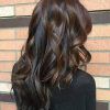 Reddish Brown Hairstyles With Long V-Cut Layers (Photo 10 of 25)