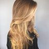 Sun-Kissed Blonde Hairstyles With Sweeping Layers (Photo 18 of 25)