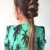 Fantastical French Braid Ponytail Hairstyles (Photo 17 of 25)