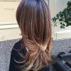 Long Haircuts Styles With Layers (Photo 14 of 25)