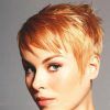 Choppy Pixie Haircuts With Blonde Highlights (Photo 14 of 25)