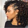 Braided Hairstyles For Curly Hair (Photo 3 of 15)
