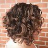 Scrunched Curly Brunette Bob Hairstyles (Photo 5 of 25)