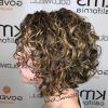 Golden-Brown Thick Curly Bob Hairstyles (Photo 4 of 25)