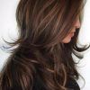Choppy Dimensional Layers For Balayage Long Hairstyles (Photo 13 of 25)