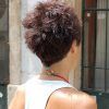 Stacked Pixie Hairstyles With V-Cut Nape (Photo 13 of 25)
