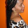 Afro Under Braid Hairstyles (Photo 10 of 25)