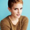 Low Maintenance Short Haircuts For Thick Hair (Photo 12 of 25)